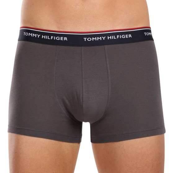 3PACK Boxershorts för herrar Tommy Hilfiger multicolour (1U87903842 0SS)