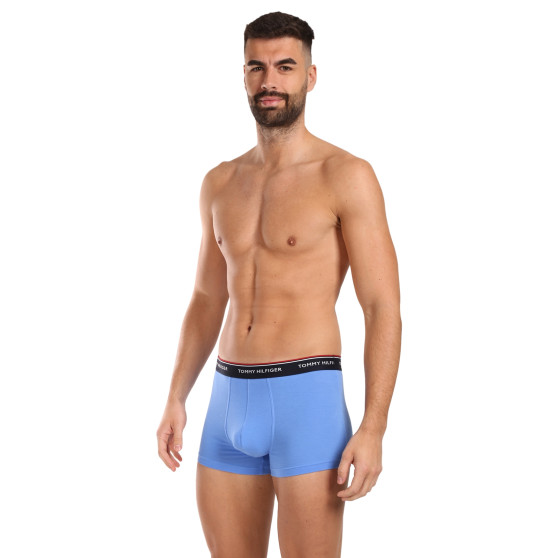 3PACK Boxershorts för herrar Tommy Hilfiger multicolour (1U87903842 0SS)