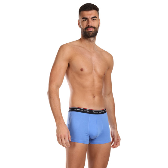 3PACK Boxershorts för herrar Tommy Hilfiger multicolour (1U87903842 0SS)