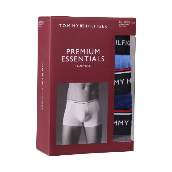 3PACK Boxershorts för herrar Tommy Hilfiger multicolour (1U87903842 0SS)