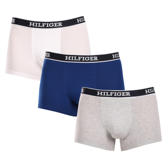 3PACK Boxershorts för herrar Tommy Hilfiger multicolour (UM0UM03185 0YZ)