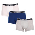 3PACK Boxershorts för herrar Tommy Hilfiger multicolour (UM0UM03185 0YZ)