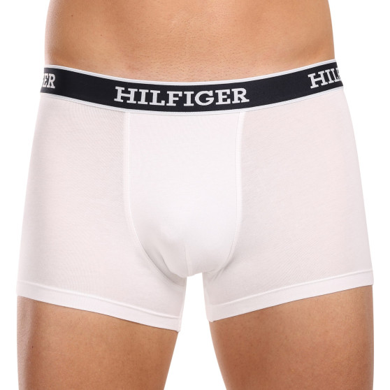 3PACK Boxershorts för herrar Tommy Hilfiger multicolour (UM0UM03185 0YZ)