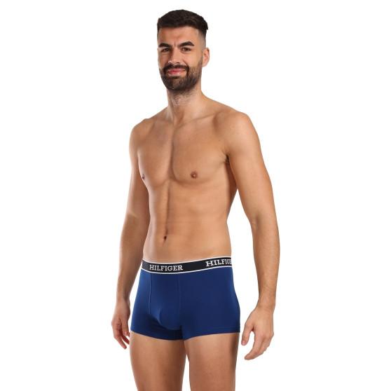 3PACK Boxershorts för herrar Tommy Hilfiger multicolour (UM0UM03185 0YZ)