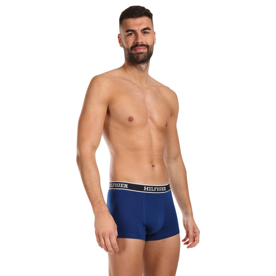 3PACK Boxershorts för herrar Tommy Hilfiger multicolour (UM0UM03185 0YZ)