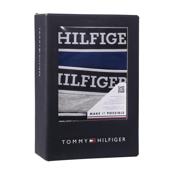 3PACK Boxershorts för herrar Tommy Hilfiger multicolour (UM0UM03185 0YZ)