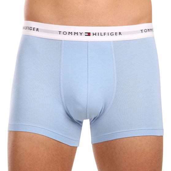 3PACK Boxershorts för herrar Tommy Hilfiger multicolour (UM0UM02768 0Y2)