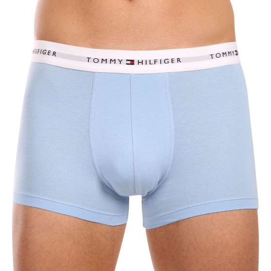 3PACK Boxershorts för herrar Tommy Hilfiger multicolour (UM0UM02761 0XZ)