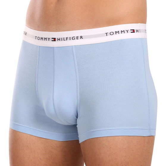 3PACK Boxershorts för herrar Tommy Hilfiger multicolour (UM0UM02761 0XZ)