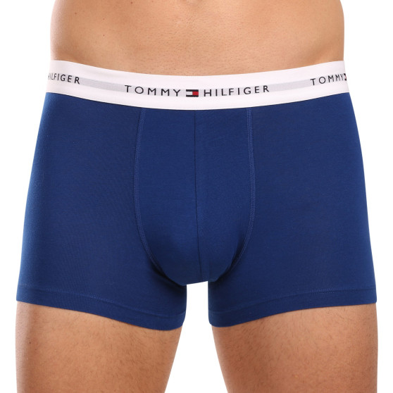 3PACK Boxershorts för herrar Tommy Hilfiger multicolour (UM0UM02761 0XZ)