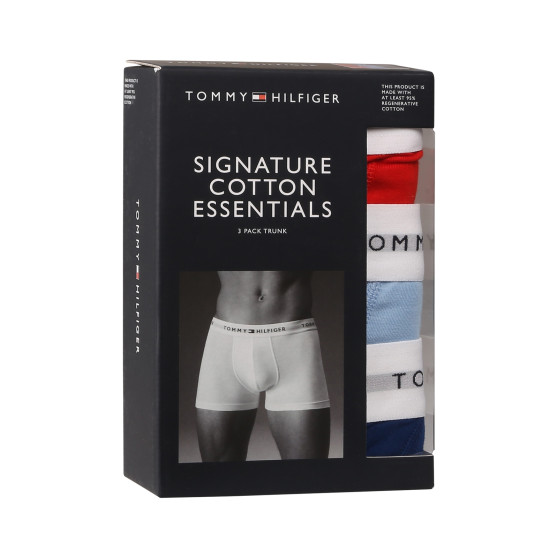 3PACK Boxershorts för herrar Tommy Hilfiger multicolour (UM0UM02761 0XZ)