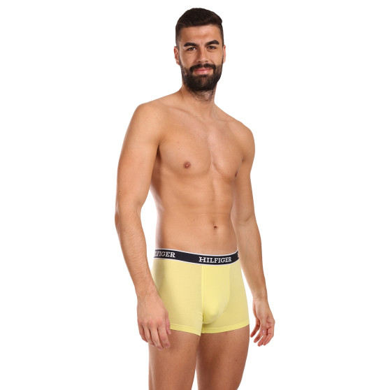 3PACK Boxershorts för herrar Tommy Hilfiger multicolour (UM0UM03185 0UM)