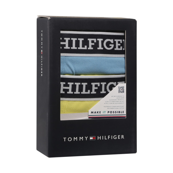 3PACK Boxershorts för herrar Tommy Hilfiger multicolour (UM0UM03185 0UM)