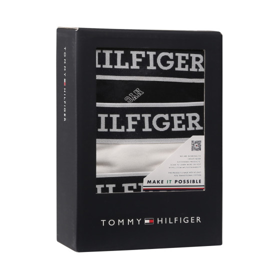 3PACK Boxershorts för herrar Tommy Hilfiger multicolour (UM0UM03284 0YY)