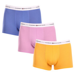 3PACK Boxershorts för herrar Tommy Hilfiger multicolour (UM0UM02761 0VI)