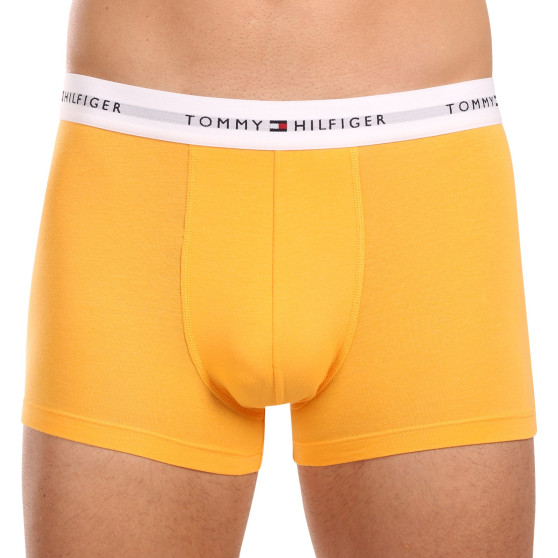 3PACK Boxershorts för herrar Tommy Hilfiger multicolour (UM0UM02761 0VI)