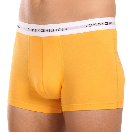 3PACK Boxershorts för herrar Tommy Hilfiger multicolour (UM0UM02761 0VI)