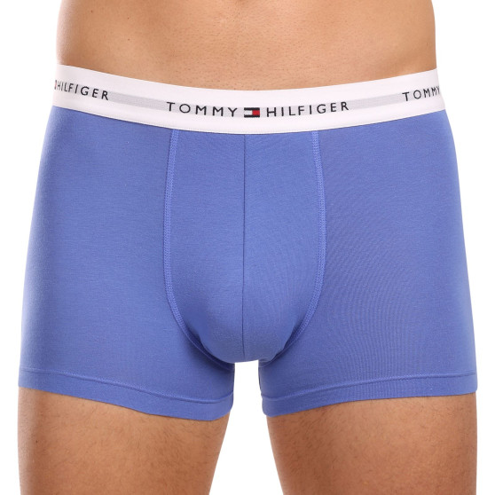 3PACK Boxershorts för herrar Tommy Hilfiger multicolour (UM0UM02761 0VI)