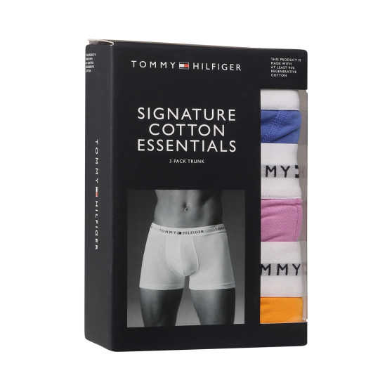 3PACK Boxershorts för herrar Tommy Hilfiger multicolour (UM0UM02761 0VI)