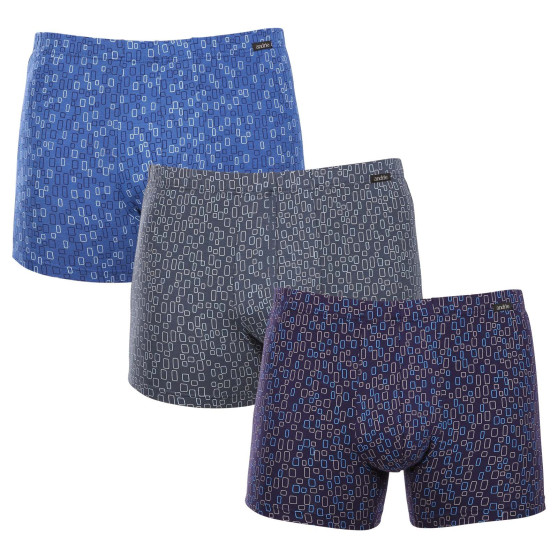 3PACK Boxershorts för herrar Andrie multicolour (PS 5633)