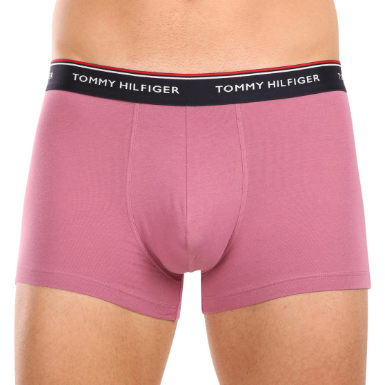 3PACK Boxershorts för herrar Tommy Hilfiger multicolour (1U87903842 0XV)