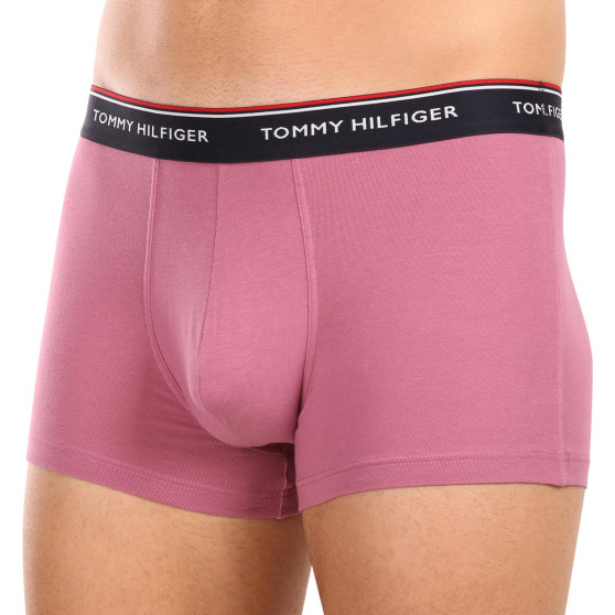 3PACK Boxershorts för herrar Tommy Hilfiger multicolour (1U87903842 0XV)