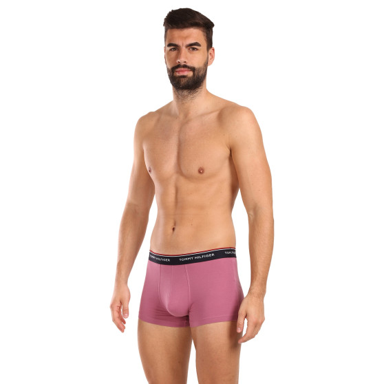 3PACK Boxershorts för herrar Tommy Hilfiger multicolour (1U87903842 0XV)