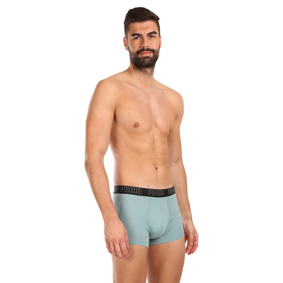 2PACK Boxershorts för herrar Puma multicolour (100000884 054)