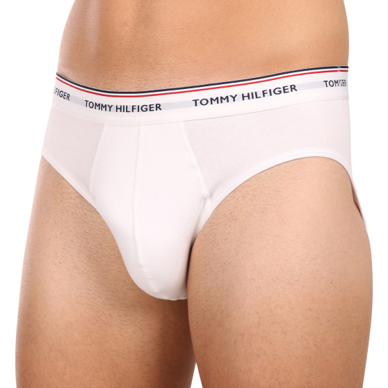 3PACK herrkalsonger Tommy Hilfiger multicolour (1U87903766 004)