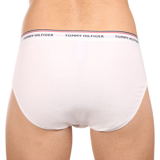 3PACK herrkalsonger Tommy Hilfiger multicolour (1U87903766 004)