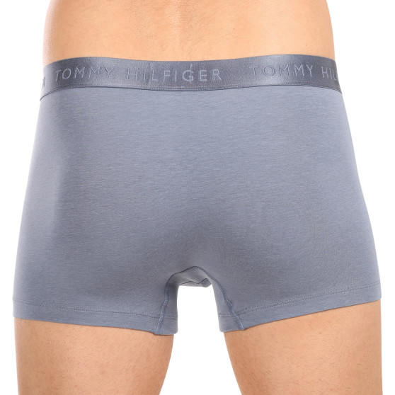 3PACK Boxershorts för herrar Tommy Hilfiger multicolour (UM0UM02760 0Y3)