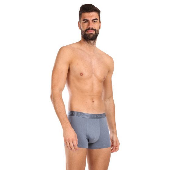 3PACK Boxershorts för herrar Tommy Hilfiger multicolour (UM0UM02760 0Y3)