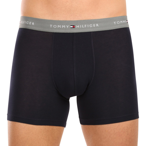 3PACK Boxershorts för herrar Tommy Hilfiger mörkblå (UM0UM02765 0VH)