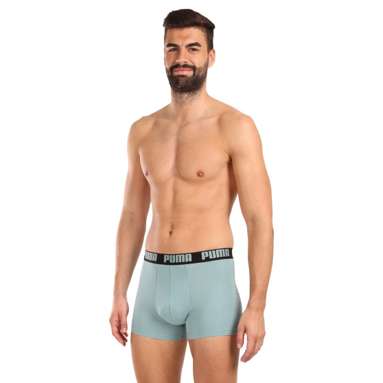 2PACK Boxershorts för herrar Puma multicolour (521015001 061)