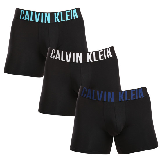 3PACK Boxershorts för herrar Calvin Klein svart (NB3609A-LXT)