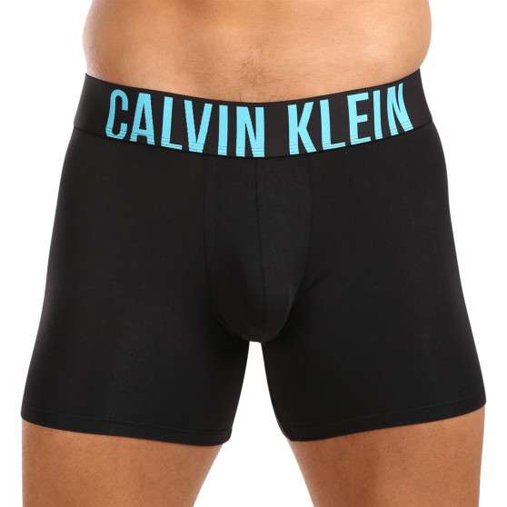 3PACK Boxershorts för herrar Calvin Klein svart (NB3609A-LXT)