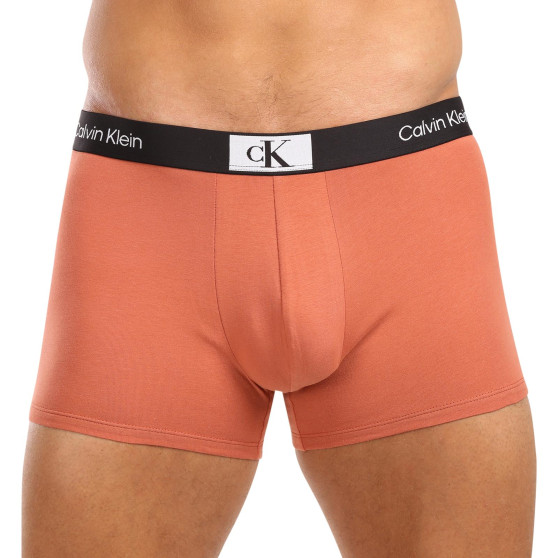 3PACK Boxershorts för herrar Calvin Klein multicolour (NB3528E-MRW)