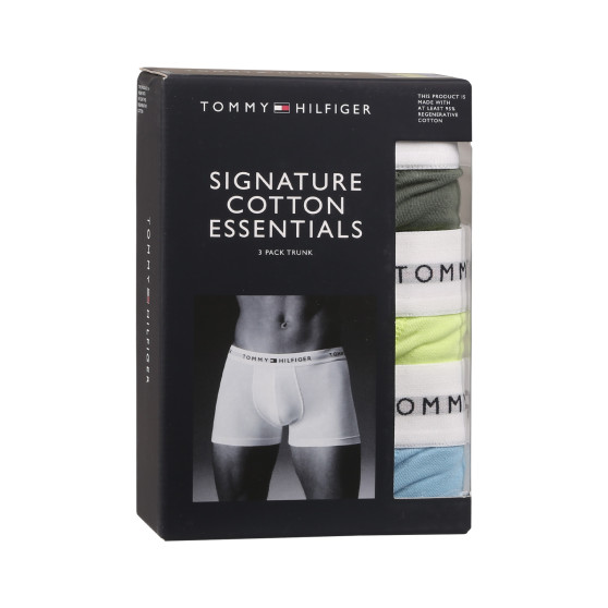 3PACK Boxershorts för herrar Tommy Hilfiger multicolour (UM0UM02761 0T9)