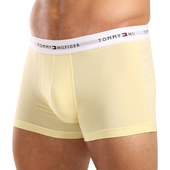 3PACK Boxershorts för herrar Tommy Hilfiger multicolour (UM0UM02761 0XM)