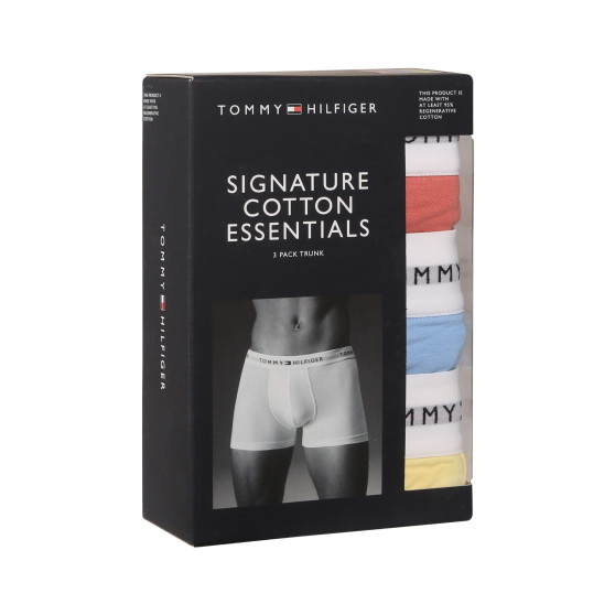 3PACK Boxershorts för herrar Tommy Hilfiger multicolour (UM0UM02761 0XM)