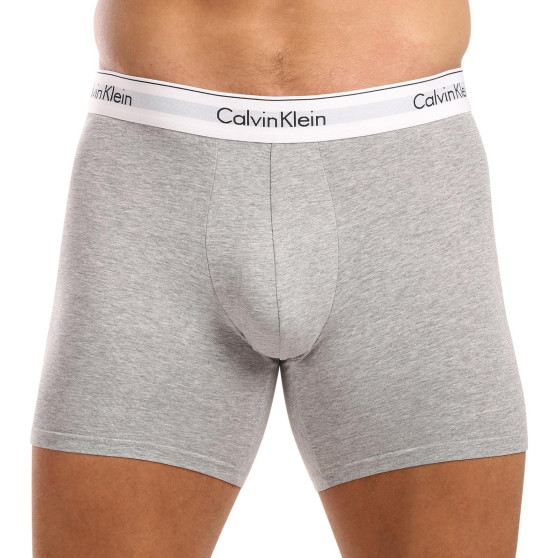 3PACK Boxershorts för herrar Calvin Klein multicolour (NB2381A-N2I)