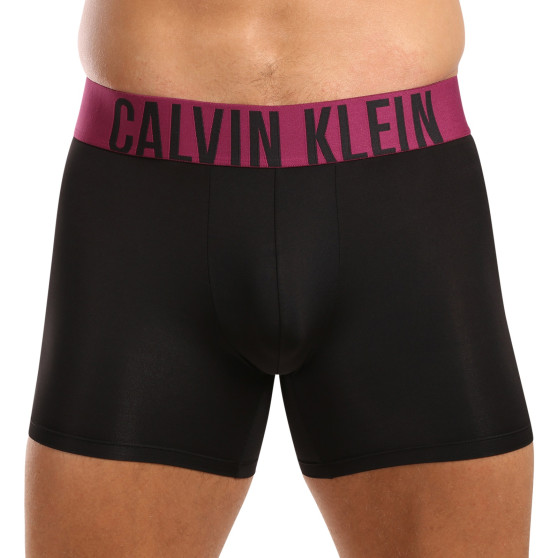 3PACK Boxershorts för herrar Calvin Klein svart (NB3612A-MDL)