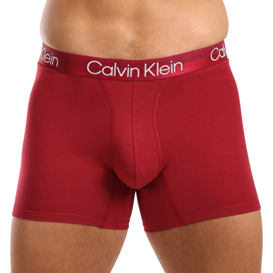 3PACK Boxershorts för herrar Calvin Klein multicolour (NB2971A-MCI)