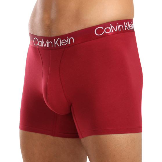 3PACK Boxershorts för herrar Calvin Klein multicolour (NB2971A-MCI)