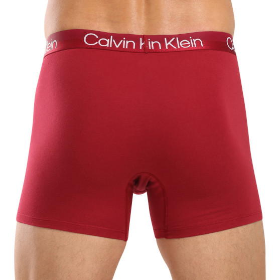 3PACK Boxershorts för herrar Calvin Klein multicolour (NB2971A-MCI)