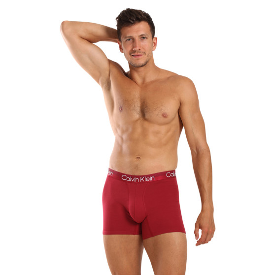 3PACK Boxershorts för herrar Calvin Klein multicolour (NB2971A-MCI)