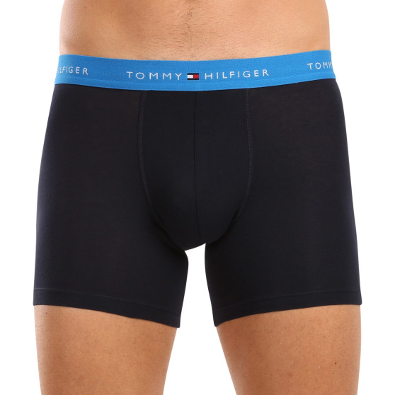 3PACK Boxershorts för herrar Tommy Hilfiger mörkblå (UM0UM02765 0VZ)