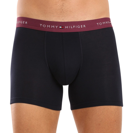 3PACK Boxershorts för herrar Tommy Hilfiger mörkblå (UM0UM02765 0VZ)