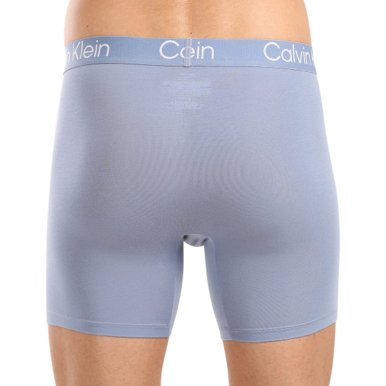 3PACK Boxershorts för herrar Calvin Klein multicolour (NB3188A-PU5)