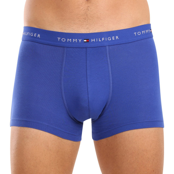 3PACK Boxershorts för herrar Tommy Hilfiger multicolour (UM0UM03438 0WH)